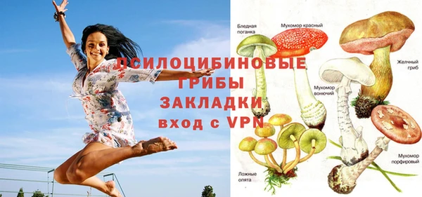 круглые Алексеевка