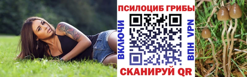kraken ССЫЛКА  Воткинск  Галлюциногенные грибы Magic Shrooms 